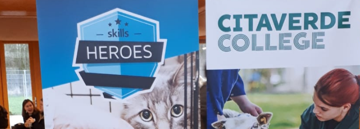 NK dierverzorger 2020