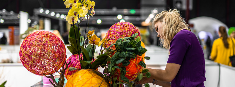 Vakmanschap, meesterschap