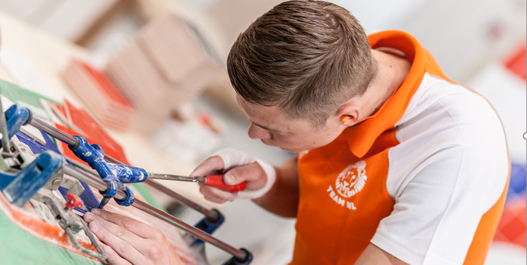 Werkend leren in de praktijk