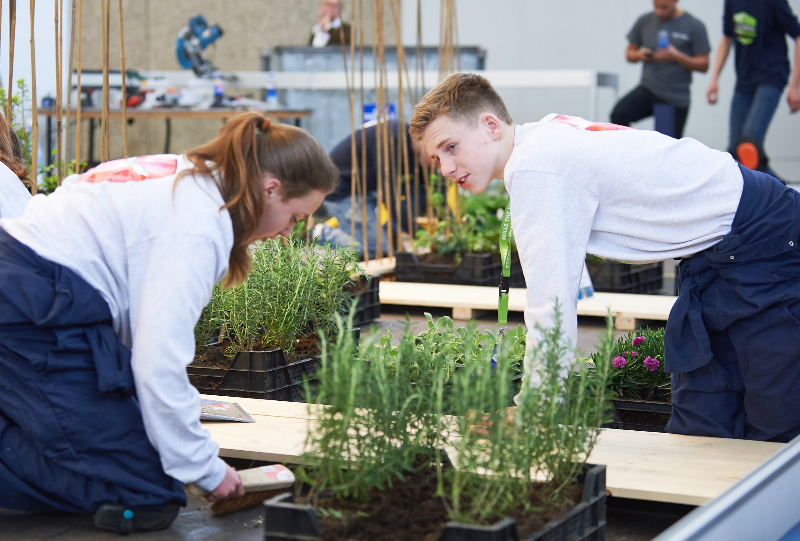 ST Tuinontwerp en -aanleg 5