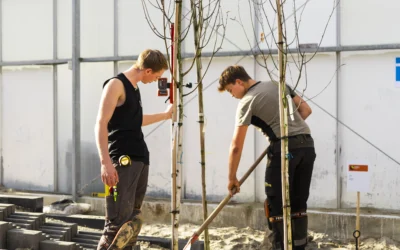 Hidde Kruit en Daan Blonk Nederlands kampioen hovenier 2026